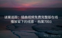 谜案追踪：插曲视频免费完整版在线播放留下的线索 · 档案7003