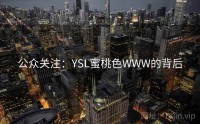 公众关注：YSL蜜桃色WWW的背后