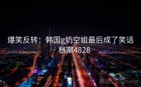 爆笑反转：韩国g奶空姐最后成了笑话 · 档案4828