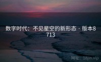 数字时代：不见星空的新形态 · 版本8713