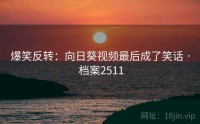爆笑反转：向日葵视频最后成了笑话 · 档案2511