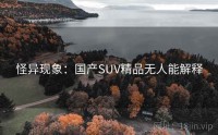怪异现象：国产SUV精品无人能解释