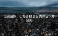 谜案追踪：丁冬影视 影音先锋留下的线索