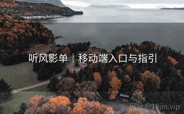 听风影单｜移动端入口与指引