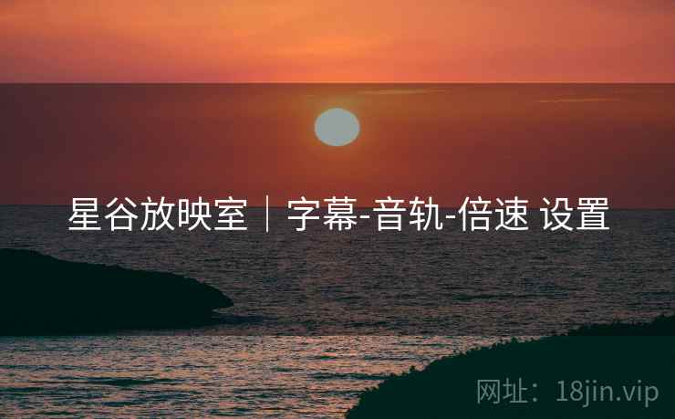 星谷放映室｜字幕-音轨-倍速 设置