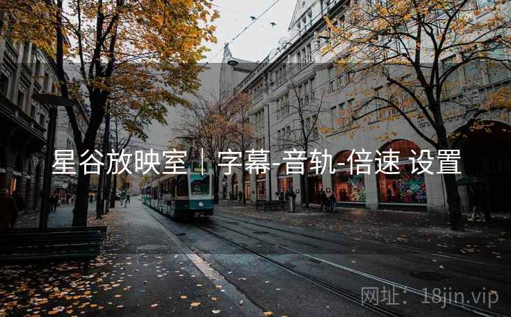 星谷放映室｜字幕-音轨-倍速 设置