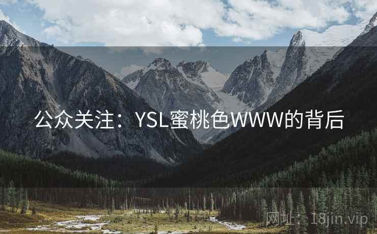 公众关注：YSL蜜桃色WWW的背后